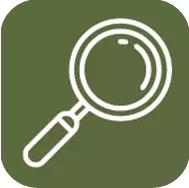 網(wǎng)絡(luò)身份與名譽(yù)管理