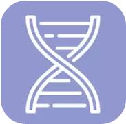 DNA合成與測(cè)序