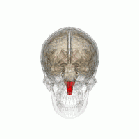 馬斯克腦機(jī)融合系統(tǒng)Neuralink